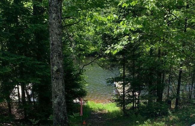 Little House In The Big Woods - Foto 18