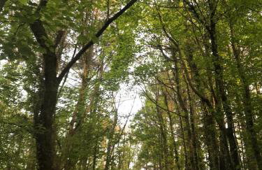 Lodge with log burner Contractors business private parking free Wi-Fi near M4 - Foto 69