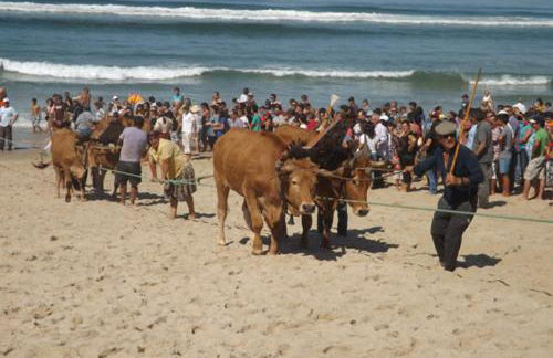 Paradise Property,Ideal para ferias ou Lua de Mel - Foto 72