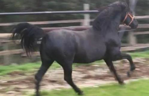 Ermis Katafigio - Photo 7