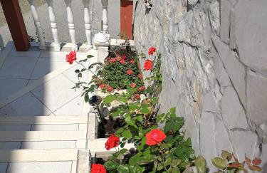 Apartments Ustavdic - Photo 5