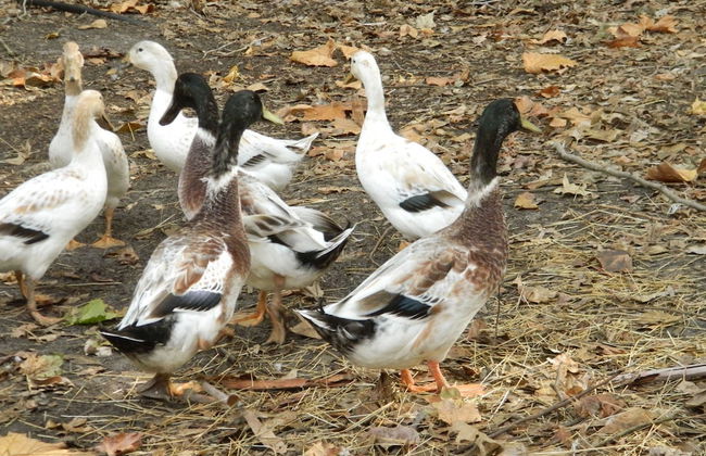 Margaret River Hideaway - Foto 46