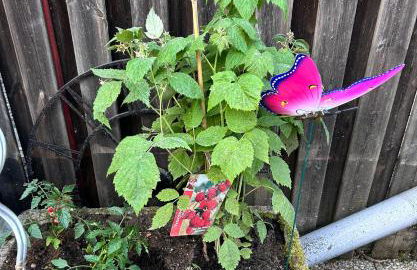 La maison papillon - Foto 7