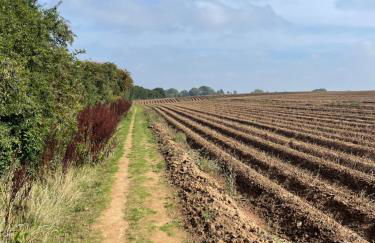 The Garden House - Photo 32