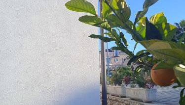 Apartments Jela - Foto 3