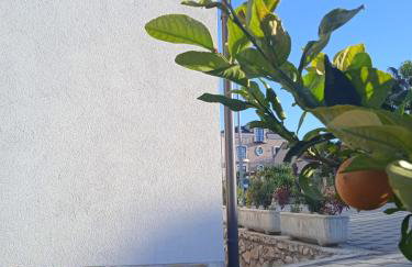 Apartments Jela - Photo 3