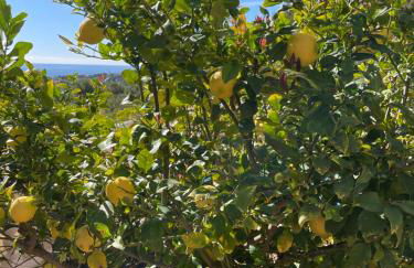 Moraira apartment 3 bedrooms - Photo 14