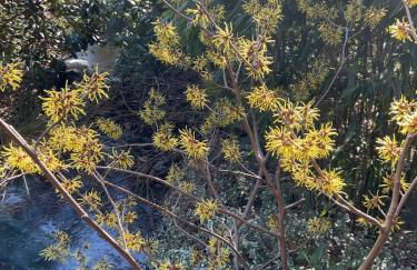 Waldtraum Wandlitzsee - Foto 32