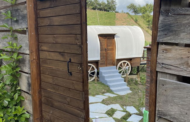 Glamping La Cepa GUATAPÉ - Photo 58