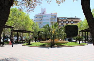 Miralmar Apartamento - Photo 15