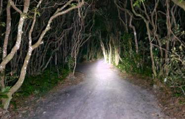 Chalé lawill ilha do mel - Foto 24