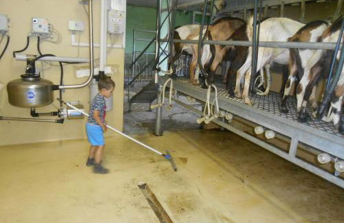 Agriturismo Fiorendo - Photo 14