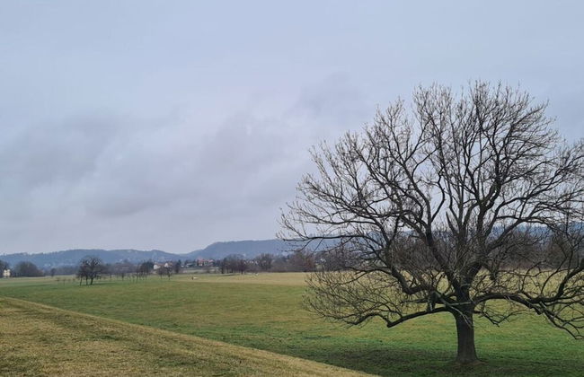 Holiday Apartment Elliebe - Foto 22