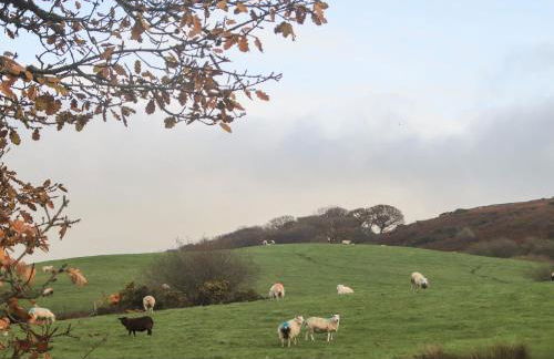 Tir Eironwy - Photo 30