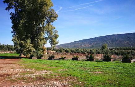 Finca el Vizconde - Naturaleza con tus hijos - Foto 22