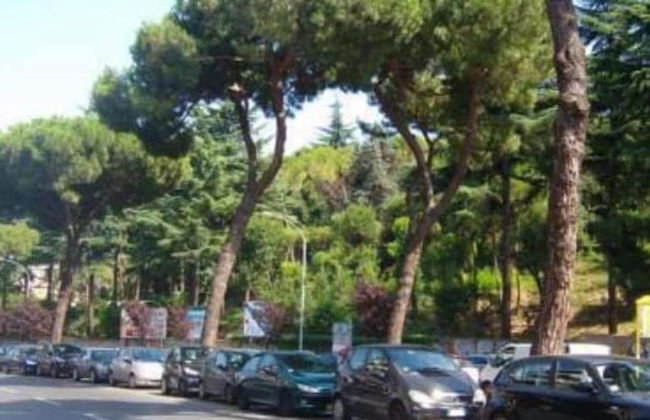 Magnolia St.Peter's Suites - Foto 21