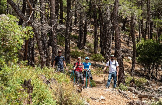 Senderismo Montaña Akramitis Rodas - Foto 10