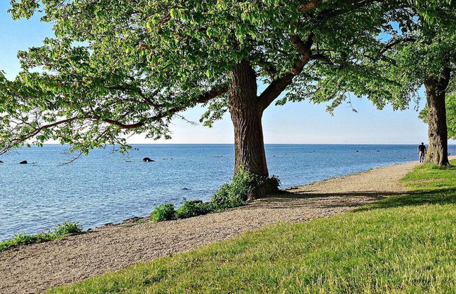 4 Person Holiday Home in Gotlands.tofta - Photo 76