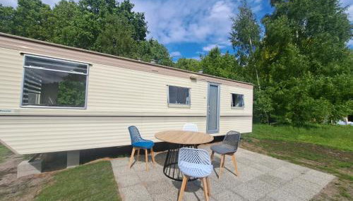 Ulinia Wilcza 4 beżowy - Foto 3