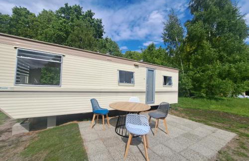 Ulinia Wilcza 4 beżowy - Photo 3