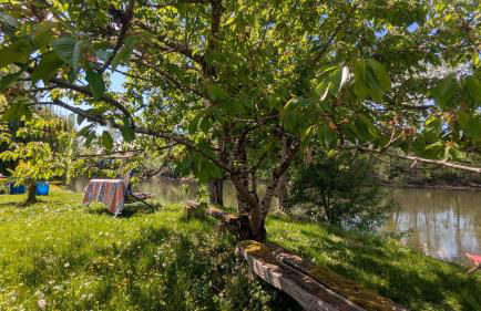 Maison atypique bord de l'Yonne - Foto 42