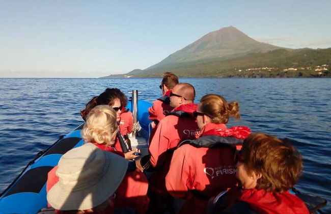 Avistamiento de cetáceos en la isla de Pico - Foto 1