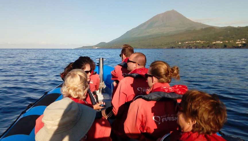 Navegaremos en una zodiac por la costa sur de Pico