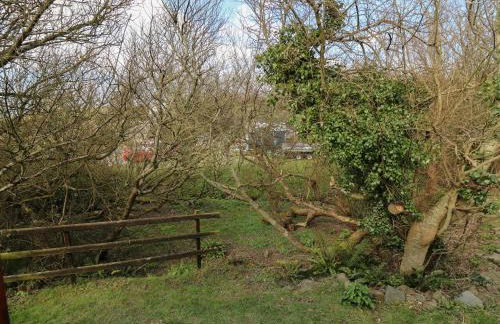 Sea the Stars - Photo 18