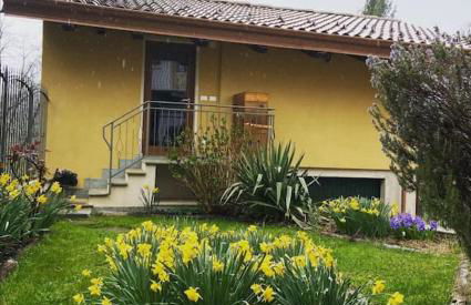 Il nocciòlo di Daisy - Foto 19