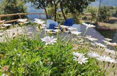 A Casa da Japoneira CB - Foto 49