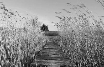 Apartament F21 Deluxe w Bielawie - Widok na Góry Sowie - Foto 29