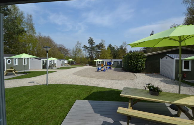 De Thijmse Berg - Foto 37