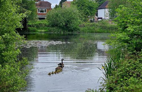 Queen Anne Cottage - Foto 35