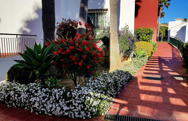 Las Brisas 33 - Foto 19