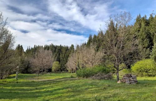 Wood Cabins by the River - for Nature Lovers - Photo 58