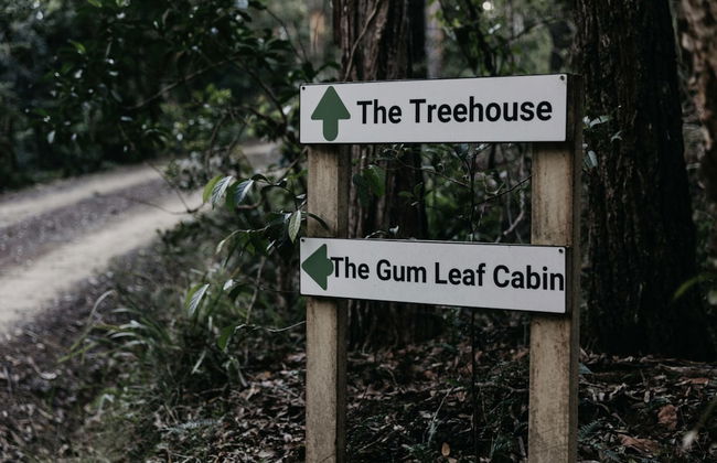 Carawirry Forest Escape - Foto 52