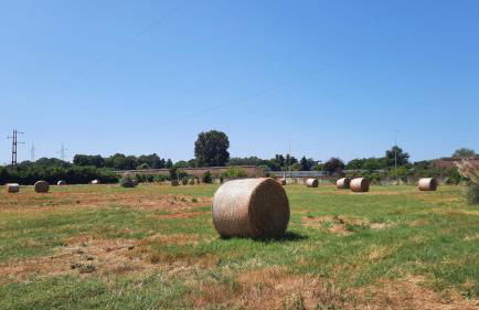 MUSEO GAR-AgriHotel - Foto 34