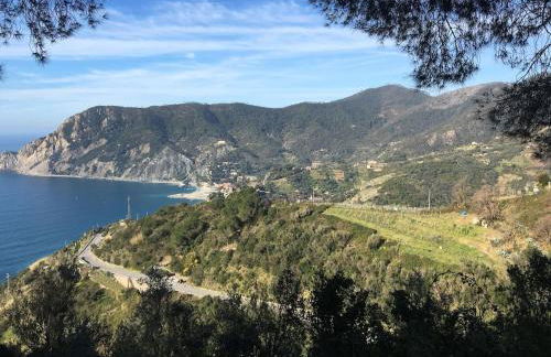 LA TERRAZZA DI MONTEROSSO - Photo 43