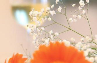 Anthemis Luxury Villas - Foto 94