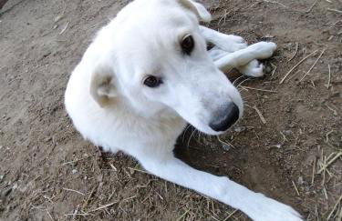 Cottoni Natural Space - Foto 34