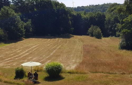Forsthaus Hausbach - Ferienwohnung Hirsch - Foto 10