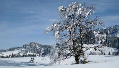 Willkommen im Herzen des Allgäus! - Foto 3