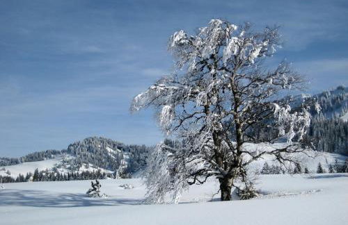 Willkommen im Herzen des Allgäus! - Photo 3