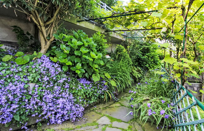 Apartment Sabrina by Interhome - Foto 50