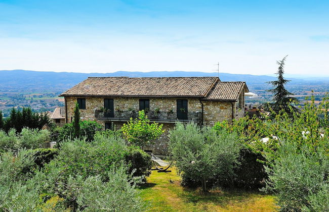 Agriturismo Colle degli Olivi - Foto 40