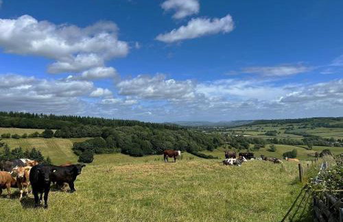 1 Bed in Presteigne oc-78351 - Foto 26