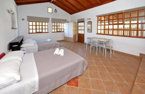 Apartmani Pjer 2 - Photo 28