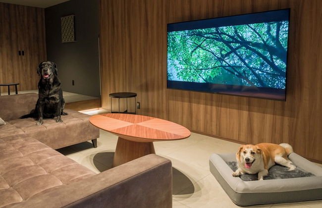 Rakuten STAY TERRACE Hakone Kowakudani - Foto 76