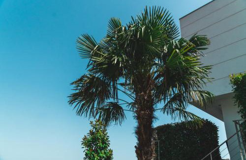 Apartments Micic - Foto 20