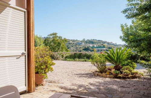 Albero di Giada - Foto 43